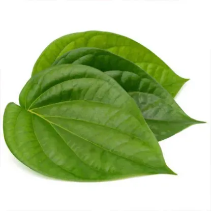 Picture of Betel Leaves / Beetle Leaves (App 6pcs)