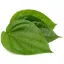 Picture of Betel Leaves / Beetle Leaves (App 6pcs)