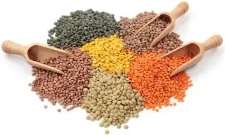 Picture for category Lentil's
